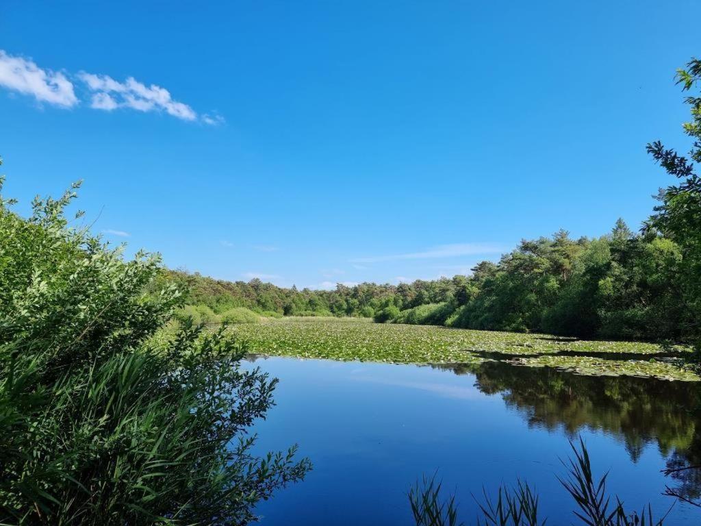Frische-brise-06-04